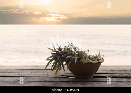 Plantes en pot sur le bord de la table en bois Banque D'Images