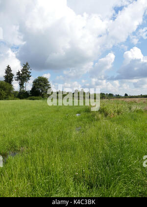 Ampermoss, marais de la vallée de la rivière près de l'Ammersee En Haute-bavière Banque D'Images