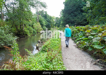 Une femme et son chien marcher à côté de la rivière Dove à Beresford Dale sur le Staffordshire et Derbyshire frontière, England, UK Banque D'Images