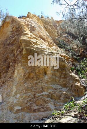 Fraser Island, Australie Banque D'Images