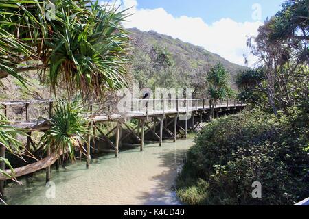 Fraser Island, Australie Banque D'Images