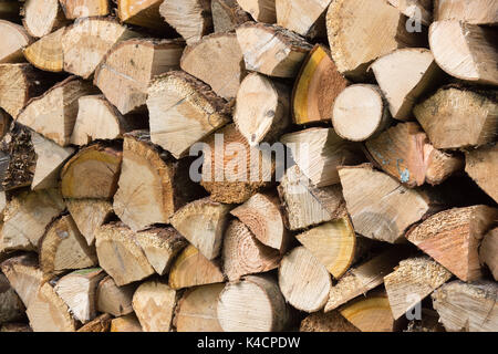 L'hématine fraîchement fendu et empilé (bois de feuillus principalement). source d'énergie renouvelable. 42 images photographiées à partir d'une gamme de distances et d'angles. Banque D'Images