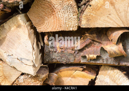 L'hématine fraîchement fendu et empilé (bois de feuillus principalement). source d'énergie renouvelable. 42 images photographiées à partir d'une gamme de distances et d'angles. Banque D'Images