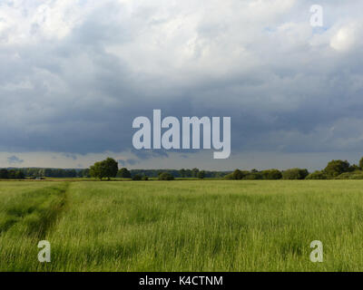 Ampermoss, marais de la vallée de la rivière près de l'Ammersee En Haute-bavière Banque D'Images