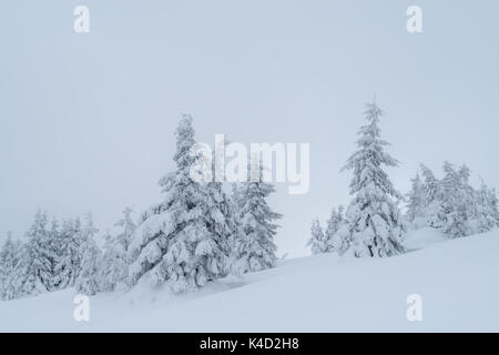 Fantastic winter landscape Banque D'Images