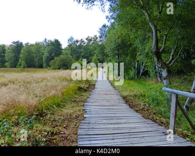 Chemin sûr à travers le Moor, chemin pavé de bois dans le Moor noir, Rhode Banque D'Images