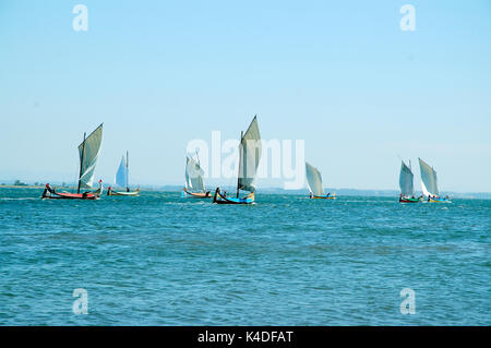 Régate de bateaux traditionnels moliceiros,, de la rivière (Aveiro) Ria de Aveiro, Portugal Esposende. Banque D'Images