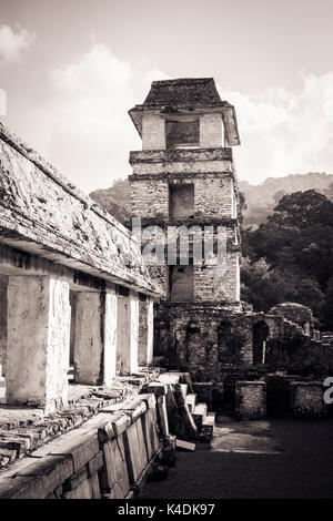 Image en noir et blanc des ruines au site archéologique de Palenque, Chiapas, Mexique. Banque D'Images