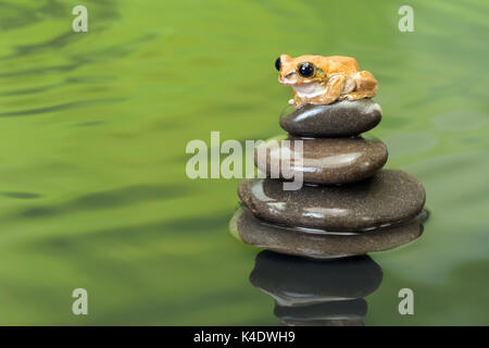 Leptopelis vermiculatus ou peacock grenouille d'arbre comme trouvés en Tanzanie assis sur une pile de rochers Banque D'Images