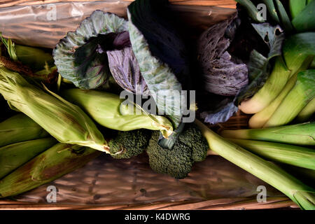 Accueil cultivé des légumes d'automne Banque D'Images