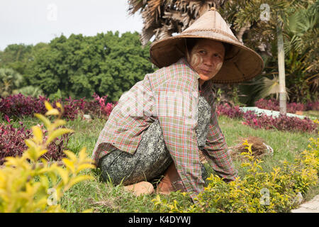 Femme ouvrier travaillant sur des plates-bandes. L'État môn, Myanmar. Banque D'Images