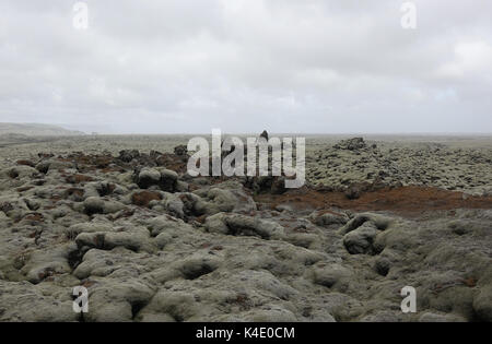 L'Islande, de pierres de lave couvertes de lichen d'Islande, du sud-est Banque D'Images