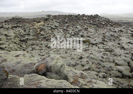 L'Islande, de pierres de lave couvertes de lichen d'Islande, du sud-est Banque D'Images