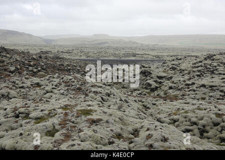 L'Islande, de pierres de lave couvertes de lichen d'Islande, du sud-est Banque D'Images