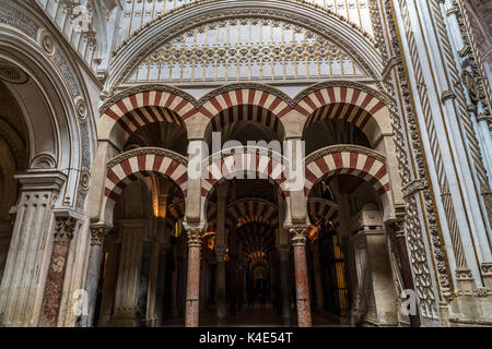 Salle de prière de la Grande Mosquée de Cordoue, Espagne Banque D'Images