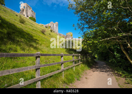 Un bois à pied en passant par les restes de Corfe Castle dans le magnifique comté de Dorset, UK. Banque D'Images