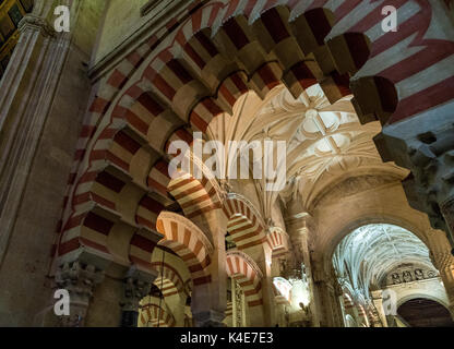 Grande Mosquée de Cordoue, Espagne Banque D'Images