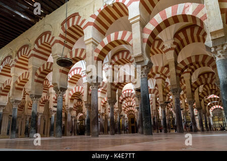 Salle de prière de la Grande Mosquée de Cordoue, Espagne Banque D'Images