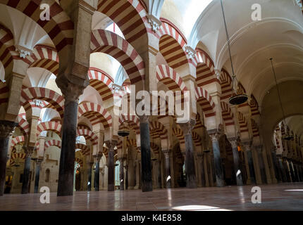 Arcades de la salle de prière dans la Grande Mosquée de Cordoue, Espagne Banque D'Images