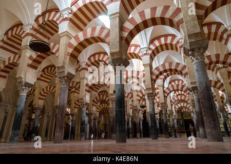 Arcades de la salle de prière dans la Grande Mosquée de Cordoue, Espagne Banque D'Images