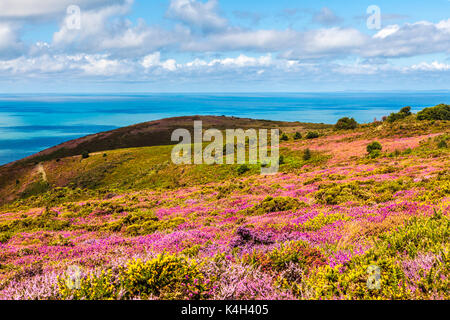 La vue depuis la colline de Bossington dans le Parc National d'Exmoor, Somerset. Banque D'Images