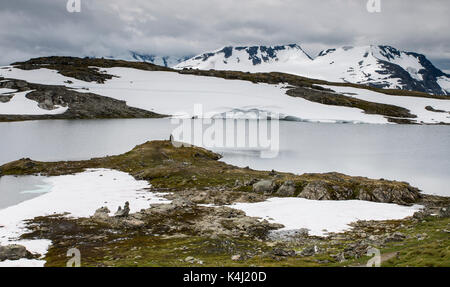 La célèbre route de comté 55. plus haute montagne route en Norvège, la partie de la route touristique Banque D'Images