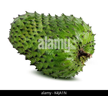 Annona muricata.corossol fruit (pomme de sucre ,l'anone ) isolé sur fond blanc Banque D'Images