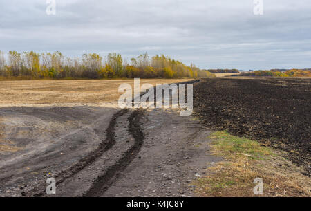 Route sale entre les champs agricoles à jour ciel couvert à l'automne, centre de l'ukraine Banque D'Images