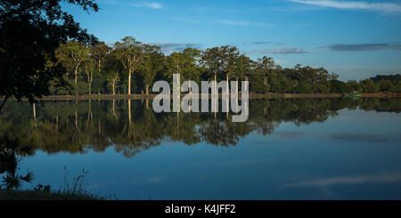 Reflet d'arbres et nuages sur l'eau, Tonle Sap, au Cambodge Banque D'Images