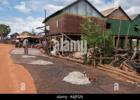 Des maisons sur pilotis au village sur le lac Tonle Sap, Kampong phluk, Siem Reap, Cambodge Banque D'Images