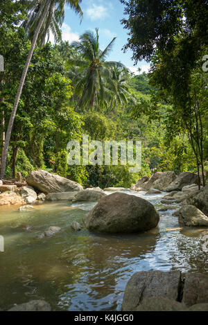 Ruisseau coule à travers la forêt, Koh Samui, Surat Thani province, Thailand Banque D'Images