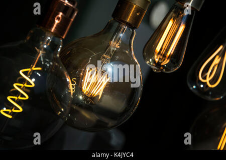 Une sélection d'ampoules à filament incandescent dans une vitrine. crédit : Terry applin Banque D'Images