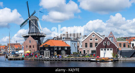 Adriaan de moulin le long de la rivière spaarne, Haarlem, Hollande du Nord, les Pays-Bas, Europe Banque D'Images