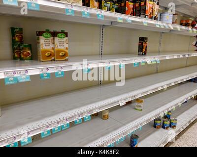 Gainesville, États-Unis, 6 septembre 2017. Soupe préparée a été un élément d'épicerie populaires comme les résidents de la Floride centrale du Nord de se préparer à la tempête. Credit : Cécile Marion/Alamy Live News. Banque D'Images