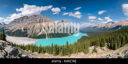 Le lac Peyto, Banff National Park, Rocheuses canadiennes, l'Alberta, Canada Banque D'Images