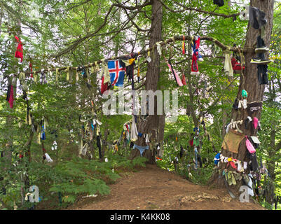 dh Clootie bien Écosse MUNLOCHY ROSS CROMARTY rituel de guérison celtique des bandes de chiffons en tissu obscurcissent les puits de nouage en forme d'arbre Banque D'Images