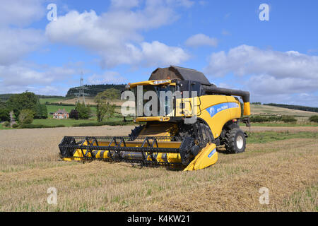 New Holland cx880 combine harvester Banque D'Images