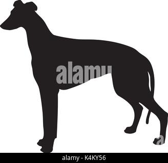 Silhouette d'un chien lévrier noir et blanc. Illustration de Vecteur