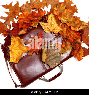 Porte-documents en cuir marron et en automne les feuilles sèches. isolé sur fond blanc. Vue de dessus. Banque D'Images