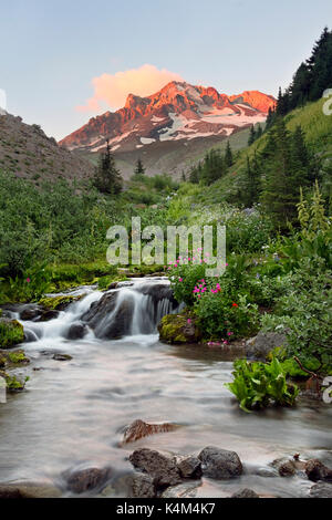 Mount hood au coucher du soleil, vu de paradise park meadow stream, Oregon, USA Banque D'Images