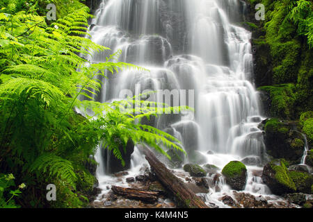 Fairy falls, situé dans la gorge du Columbia national scenic area Banque D'Images