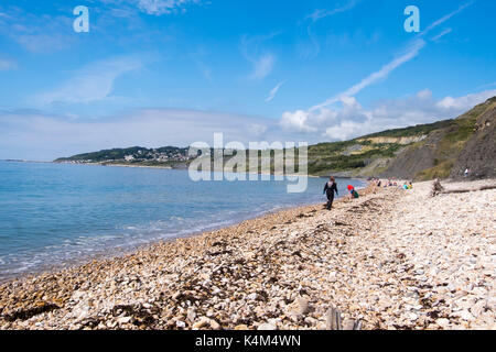 Charmouth plage, les chasseurs de fossiles, dorset Banque D'Images