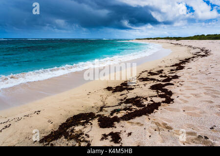 Les nuages sombres de l'approche d'une tempête sur les vagues déferlantes sur la côte déserte de la plage de sable rose à Barbuda, Antigua-et-Barbuda, Antilles Banque D'Images