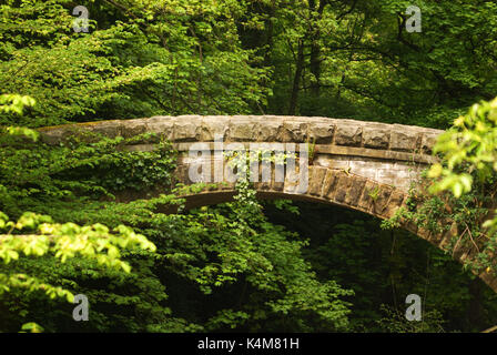 Le Jesmond Dene, Tyne et Wear Banque D'Images