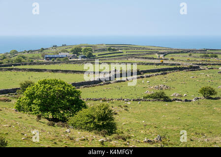 Des murs en pierre et des champs verts dans les collines au-dessus de llanbedr, gwynnedd dans le nord du Pays de Galles. la mer vu dans la distance. Banque D'Images