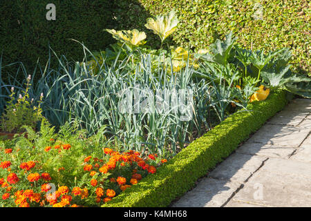 Jardins de Brightwater, Saxby, Lincolnshire, Royaume-Uni. L'été, août 2017. Banque D'Images