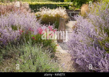 Jardins de Brightwater, Saxby, Lincolnshire, Royaume-Uni. L'été, août 2017. Banque D'Images