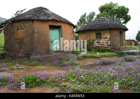 Cases traditionnelles avec des toits de chaume, le Lesotho, l'Afrique Banque D'Images