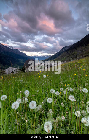 Nuages à l'aube sur le village alpin de Soglio, Maloja, vallée bregaglia, engadine, canton des Grisons, Suisse, Europe Banque D'Images