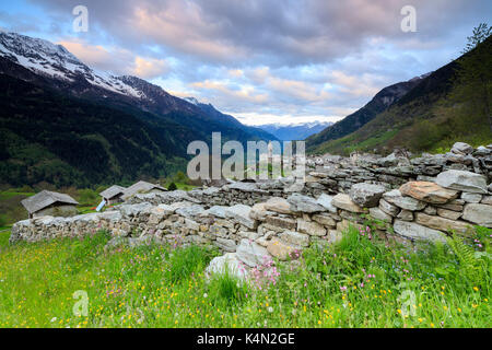 Nuages rose à l'aube sur le village alpin de Soglio, Maloja, vallée bregaglia, engadine, canton des Grisons, Suisse, Europe Banque D'Images